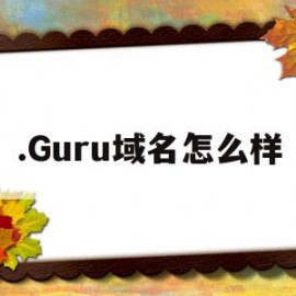 关于.Guru域名怎么样的信息