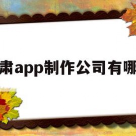 甘肃app制作公司有哪些(甘肃app制作公司有哪些公司)