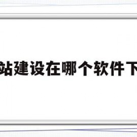 网站建设在哪个软件下做(网站建设在哪个软件下做好)