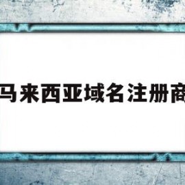 马来西亚域名注册商(马来西亚公司的注册号)