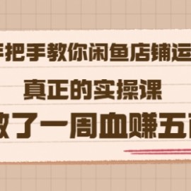 2022版《手把手教你闲鱼店铺运营》真正的实操课 做了一周血赚五百 (16节课)