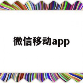 微信移动app(微信移动app怎么查手机号码年龄信息)