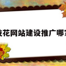 攀枝花网站建设推广哪家好(攀枝花百度整站优化服务)