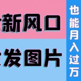 抖音头像号变现0基础教程：全新风口，发发图片也能变现月入10000+