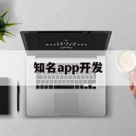 知名app开发(知名app开发团队)