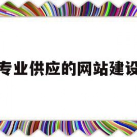 专业供应的网站建设(专业供应的网站建设是什么)