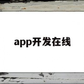 app开发在线(app 开发 平台)