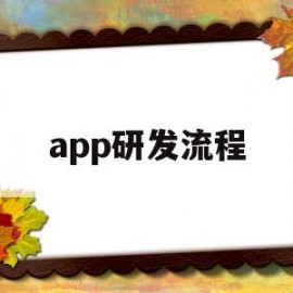 app研发流程(app研发多少钱)