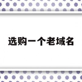 选购一个老域名(买老域名最看重的什么)