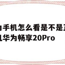 华为手机怎么看是不是正品新机华为畅享20Pro(华为手机怎么看是不是正品新机华为畅享20 Pro)