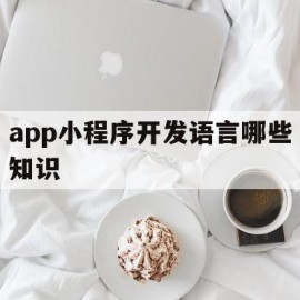 app小程序开发语言哪些知识(app小程序开发语言哪些知识可以用)