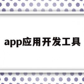 app应用开发工具(app应用开发工具怎么用)