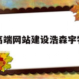 高端网站建设浩森宇特(深圳市浩森宇电子有限公司)