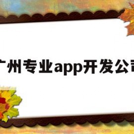 广州专业app开发公司(广州专业app开发公司)