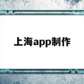 上海app制作(上海制作网站软件)