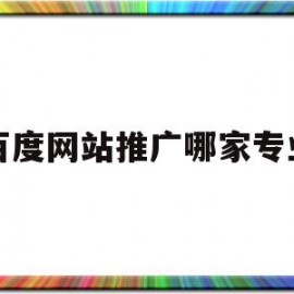 百度网站推广哪家专业(在百度上做网站推广效果怎么样)