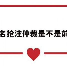 域名抢注仲裁是不是前置(域名抢注仲裁是不是前置任务)