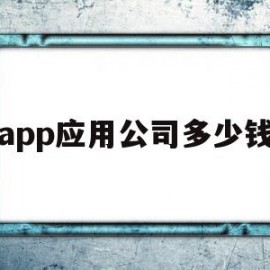 app应用公司多少钱(app应用公司多少钱一个)