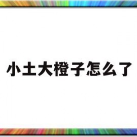 小土大橙子怎么了(大土 小橘)