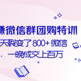 玩赚微信群团购特训：几天裂变了800+微信群，一晚成交上百万