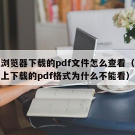 手机浏览器下载的pdf文件怎么查看（手机网页上下载的pdf格式为什么不能看）