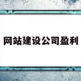 网站建设公司盈利(网站建设公司多少钱)