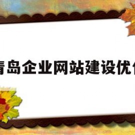 青岛企业网站建设优化(青岛企业网站建设优化建议)