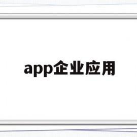 app企业应用(企业应用平台软件下载)