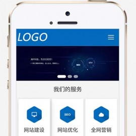 (自适应手机端)IT网络建站公司
