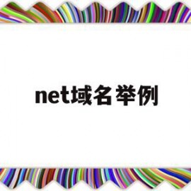 net域名举例(net的域名好吗)