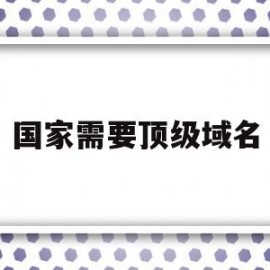 国家需要顶级域名(申请顶级国际域名最终需向)