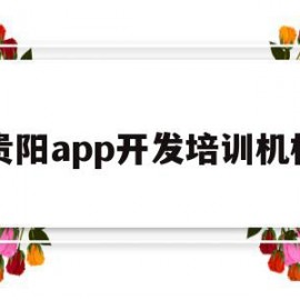 贵阳app开发培训机构(贵阳app开发培训机构有哪些)