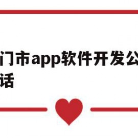 厦门市app软件开发公司电话的简单介绍