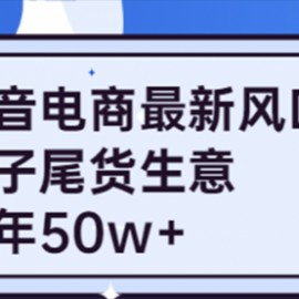 抖音电商最新风口，利用信息差做电子尾货生意，一年50w+（7节课+货源渠道)