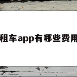 租车app有哪些费用(租车app有哪些费用可以用)