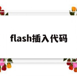flash插入代码(flash在哪里写代码)