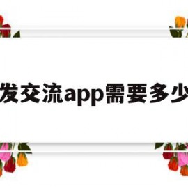 开发交流app需要多少钱(开发app需要的费用)