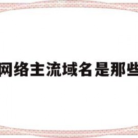 网络主流域名是那些(我国网络域名的顶级域名)