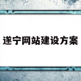 遂宁网站建设方案(遂宁市网上办事大厅)