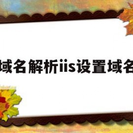 域名解析iis设置域名(域名解析ip地址怎么设置)