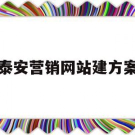 泰安营销网站建方案(网络营销网站建设方案)