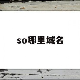 so哪里域名(域名搜索是什么)