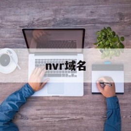 nvr域名(nvr与dvr的区别)