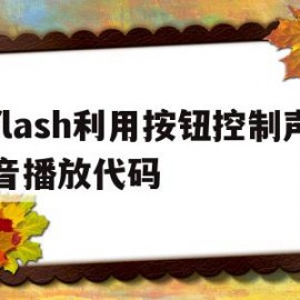 flash利用按钮控制声音播放代码(flash中怎么用按钮控制动画的播放停止)