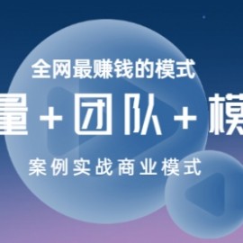 全网最赚钱的模式《流量+团队+模式》案例实战商业模式