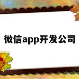 微信app开发公司(微信app开发公司有哪些)