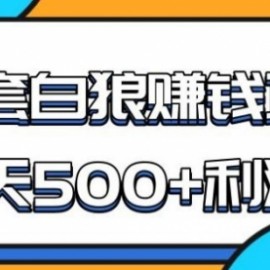 某团队内部实战赚钱项目，一天500+利润，人人可做，超级轻松