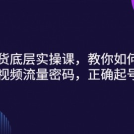 短视频带货底层实操课，教你如何选爆品、了解获短视频流量密码，正确起号