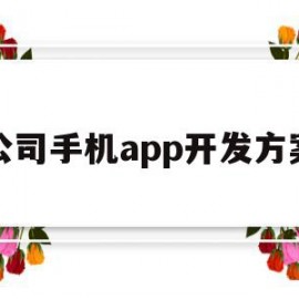 公司手机app开发方案(手机软件开发公司如何选择)