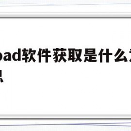 ipad软件获取是什么意思(ipad软件获取是什么意思呀)